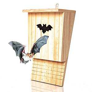 Blumfeldt Domeček pro netopýry, ptačí budka, pomoc při přezimování, celoročně obyvatelný, borovicové dřevo obraz