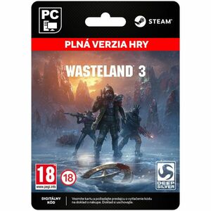 Wasteland 3[Steam] obraz
