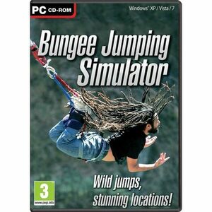 Bungee Jumping Simulator PC obraz