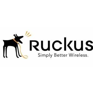 Ruckus Wireless BR-ICX-7150-210U410R-P-01 BR-ICX-7150-210U410R-P-01 obraz