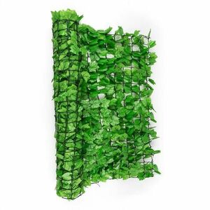 Blumfeldt Fency Bright Ivy, plot na ochranu před pozorováním, ochrana před větrem, 300 x 100 cm, břečťan, světle zelený obraz