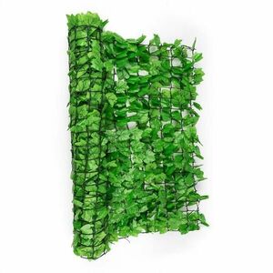 Blumfeldt Fency Bright Ivy, plot na ochranu před pozorováním, ochrana před větrem, 300 x 150 cm, břečťan, světle zelený obraz