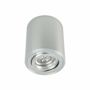 BPM Stropní svítidlo Aluminio Plata 8015.01 kartáčovaný hliník 1x 50W, 230V 8015.01 obraz