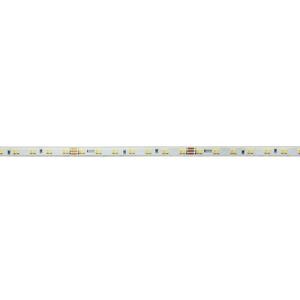 Light Impressions Deko-Light flexibilní LED pásek 2216-196-24V-3000-6500K-5m-Silikon 24V DC 40, 00 W 3000-6500 K 3405 lm 5000 840349 obraz