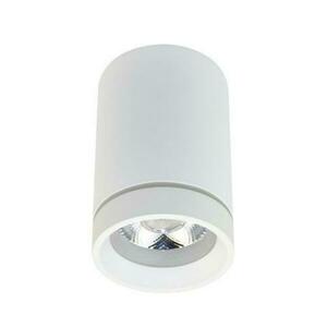 LED Stropní bodové přisazené svítidlo AZzardo Bill white AZ3375 10W 850lm 4000K IP20 6, 5cm bílé obraz