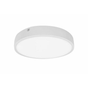 Palnas stropní LED svítidlo Egon kruh bílý 61003542 obraz