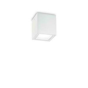 Venkovní stropní přisazené svítidlo Ideal Lux TECHO PL1 SMALL BIANCO 251561 GU10 1x20W IP54 9cm bílé obraz