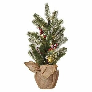 EMOS LED vánoční stromek zasněžený, 52 cm, 3x AA, vnitřní, teplá bílá, časovač DCTW04 obraz