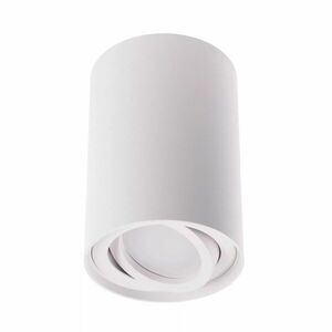 T-LED Bílé přisazené výklopné svítidlo kulaté GU10 105516 obraz