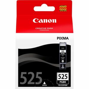 Canon 4529B001 inkoustová náplň 1 kusů Originální 4529B001 obraz