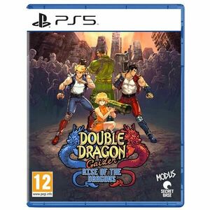 Double Dragon Gaiden: Rise of the Dragons PS5 obraz