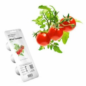 Click and Grow mini rajčata obraz