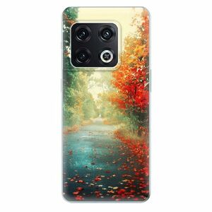 Odolné silikonové pouzdro iSaprio - Autumn 03 - OnePlus 10 Pro obraz