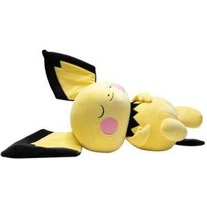 Plyšák Sleeping Pichu (Pokémon) obraz