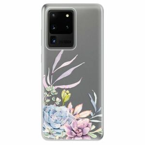 Odolné silikonové pouzdro iSaprio - Succulent 01 - Samsung Galaxy S20 Ultra obraz