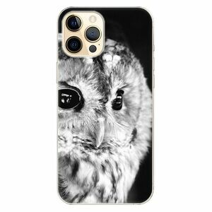 Odolné silikonové pouzdro iSaprio - BW Owl - iPhone 12 Pro Max obraz