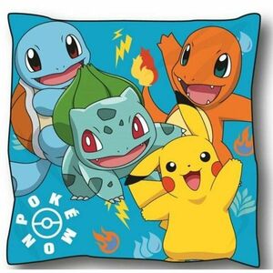 Polštář Pokémon (Pokemon) obraz