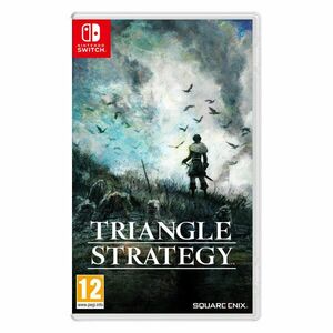 Triangle Strategy NSW obraz