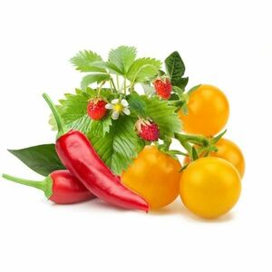 Click and Grow mix ovoce & zeleniny obraz