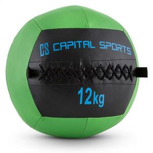 Capital Sports Wallba 12, zelený, 12 kg, wall ball, syntetická kůže obraz