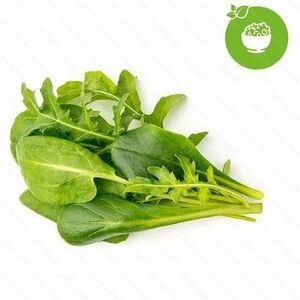 Click and Grow mix zelených salátů obraz