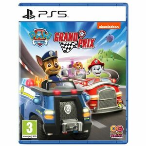 Paw Patrol: Grand Prix PS5 obraz