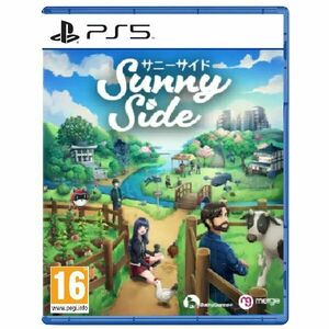 SunnySide PS5 obraz