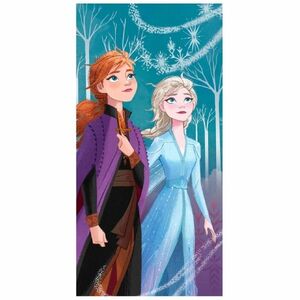 Osuška Frozen 2 (Disney) obraz