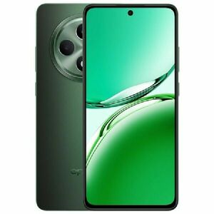 OPPO Reno12 FS 5G 12/512GB, Black Green obraz