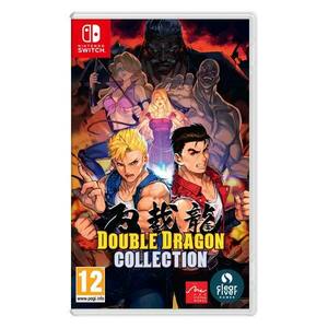 Double Dragon (Collection) NSW obraz