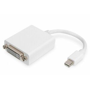 DisplayPort Adapter / Converter AK-340406-001-W obraz