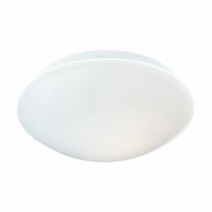 ACA Lighting Wall&Ceiling nástěnné a stropní svítidlo DLA260L obraz