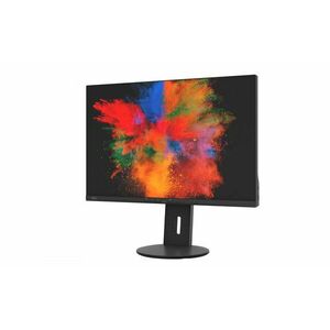 Fujitsu Displays B2410 WS počítačový monitor S26361-K1697-V160 obraz