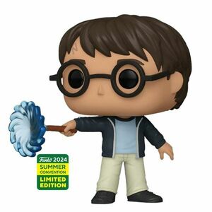 POP! Harry Potter (Harry Potter) 2024 Summer Convention Limited Edition obraz