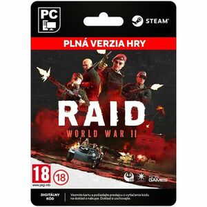 Raid: World War 2 [Steam] obraz