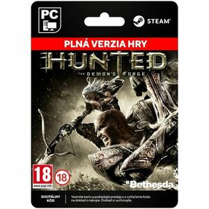 Hunted: The Demon's Forge [Steam] obraz