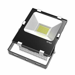 NBB FLS-100W-F 85-305V 5000K MW FLOOD LED IP65 253210020 obraz