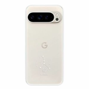 Odolné silikonové pouzdro iSaprio - čiré - Rak - Google Pixel 9 Pro XL obraz