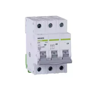 Misc. circuit breaker, Icn=6kA, 2-pole, In=40A, I?n=30mA, type 100049 obraz