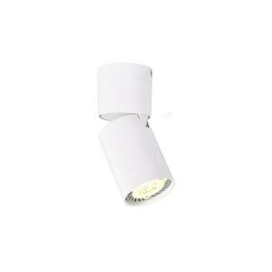 ACA Lighting bodové svítidlo nástěnné 1XGU10 bílá hliník D5, 5XH13CM ELITIS RA301S6WH obraz