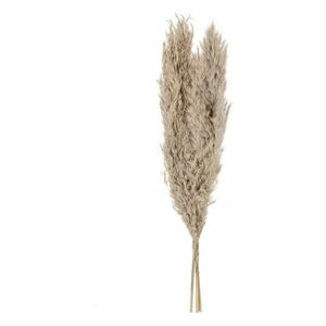 Eglo LIVING Pampas grass v.550 3 ks GUIPOS 428083 obraz