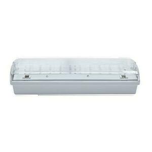 NBB CARLA 30 LED 3h TP IP65 910103000 obraz