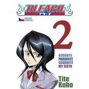 Bleach 02 obraz