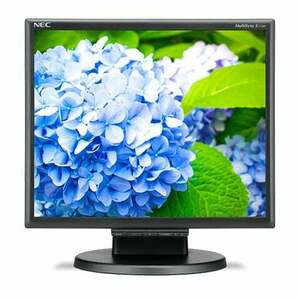 NEC E172M 43, 2 cm (17") 1280 x 1024 px HD LED Černá 60005020 obraz