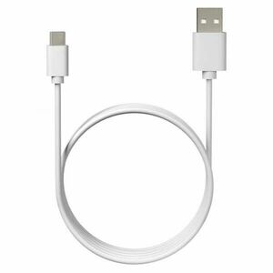 TrueLife TLUSBC USB-C obraz