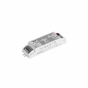 BIG WHITE (SLV) LED ovladač 15W 100-700mA, DALI 1008666 obraz