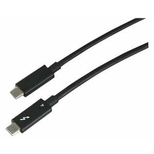 Lenovo 4Z51A40455 Thunderbolt kabel 2 m 40 Gbit/s Černá 4Z51A40455 obraz