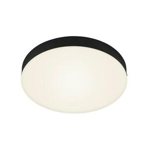 BRILONER LED stropní svítidlo, pr. 27, 8 cm, 21 W, černá BRI 7066-015 obraz
