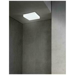 Nova Luce Elegantní koupelnové stropní svítidlo Cube z bílého opálového skla - 1 x 40 W, 205 x 205 x 70 mm NV 6110041 obraz