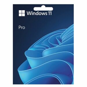 Microsoft Windows Pro 11 64-bit elektronická licencia obraz